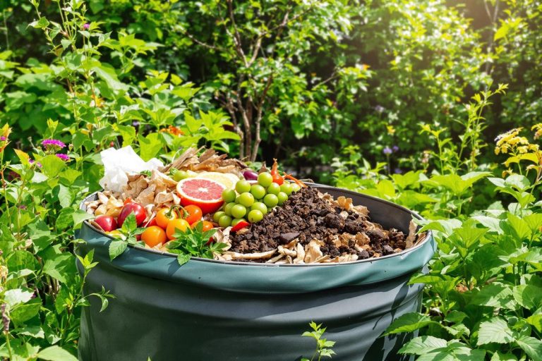 Liste des 15 déchets interdits dans le compost domestique.jpg